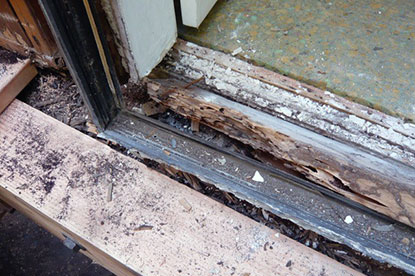 Window sill structural termite damage