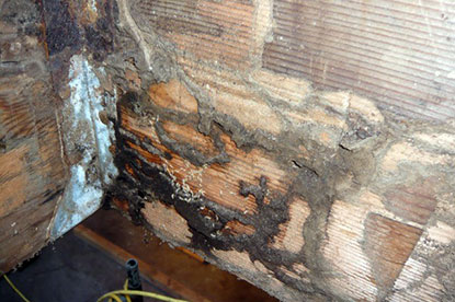Live termites located under courtyard deck sill plate