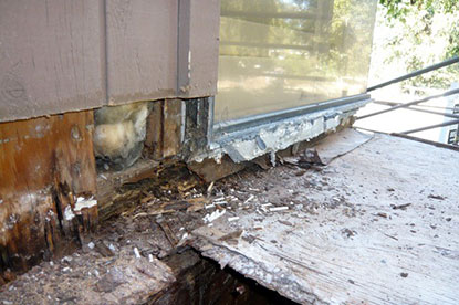 Defective flashings under window creating termite damage