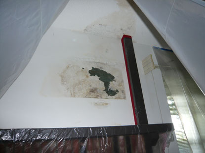 Water damage and mold contamination above fireplace require removal