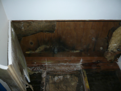 Roof leak identified as source of water intrusion and mold contamination conditions