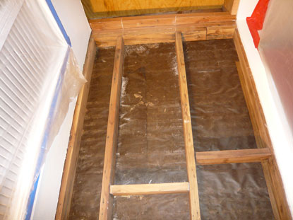 Remediation procedures include physically removing mold