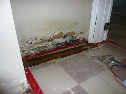 Saturated water damaged baseboards and mold contamination to closet wall