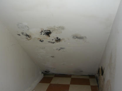 The source of water intrusion must be identified and eliminated to prevent mold contamination